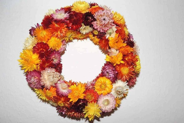 Bunter Kranz aus Trockenblumen an weißer Wand, ländliche Deko für Bio Bauernhof Maishofen